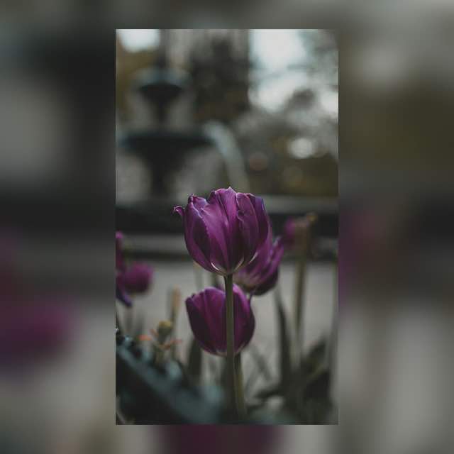 ?