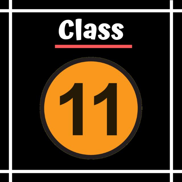 CLASS 11 Whatsapp group