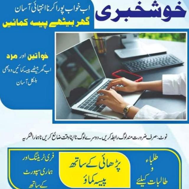 The Real Online Earning ?
