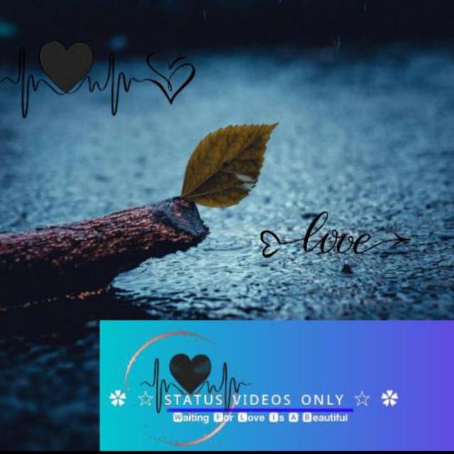 ?༺ ՏTᗩTᑌՏ♡ ᐯIᗪᗴOՏ♡OᑎᒪY༻? 
              ⇆ㅤ◁ㅤ ❚❚ㅤ ▷↻