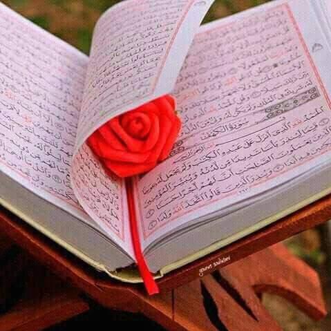 The Holy Quran learning 