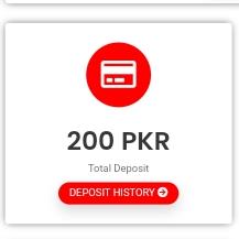 صرف 100 روپے انویسٹمنٹ کرنی ہے
