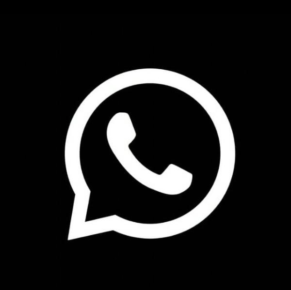 ?Tik tok videos?