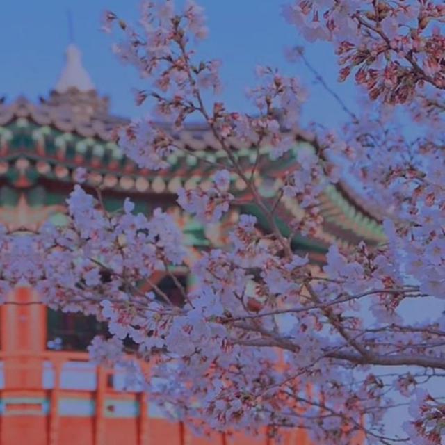 KOREAN GROUP 