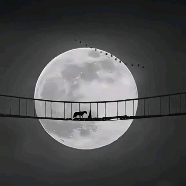 Only Girls Videos