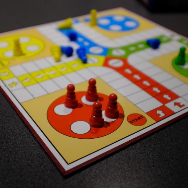 ThakuR G LuDo 5%??™️