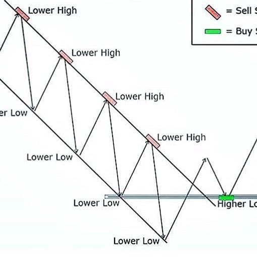 Forex training 