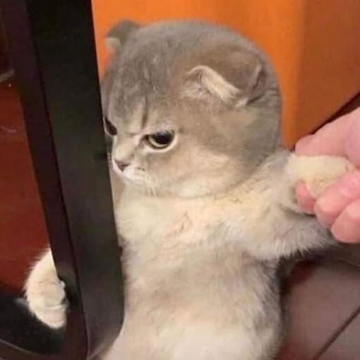 Chat _ Group _