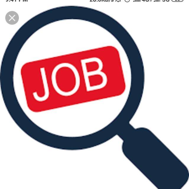JOB NOTIFICATION 2019