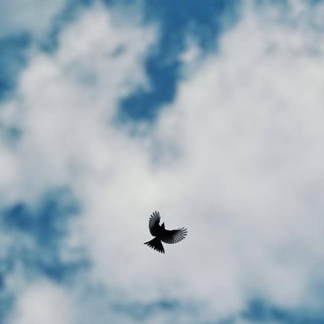 AIR POST  ?