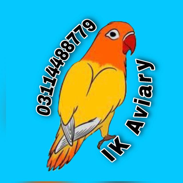 ?IK Aviary?Swabi?Lovebirds lover?