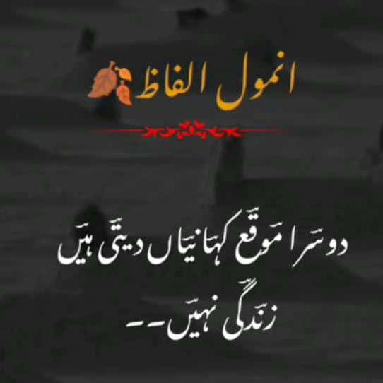 •❥?্᭄͜͡??◇اَنـــتَ الحَــ