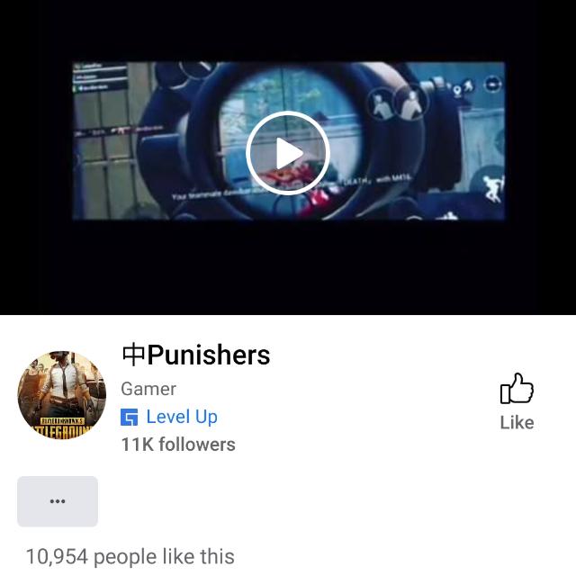 中Punishers PUBG Gaming???