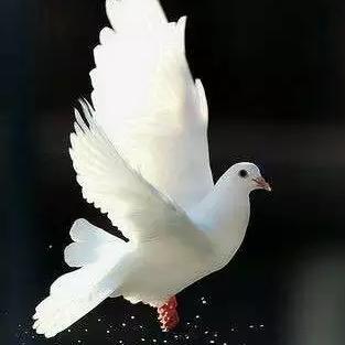 All is well Whatsapp group
