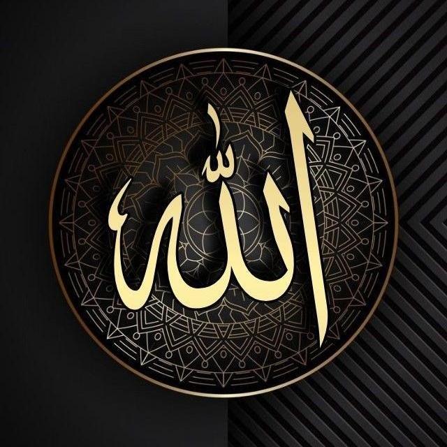 ❤️?Islamic Knowledge ??