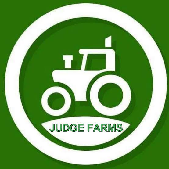 Judge Farm ???
