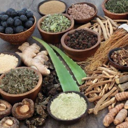 ?सर्वगुणसंपन्न आयुर्वेद✨6