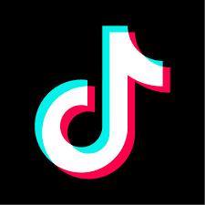 ?TiK tOk ban in india
