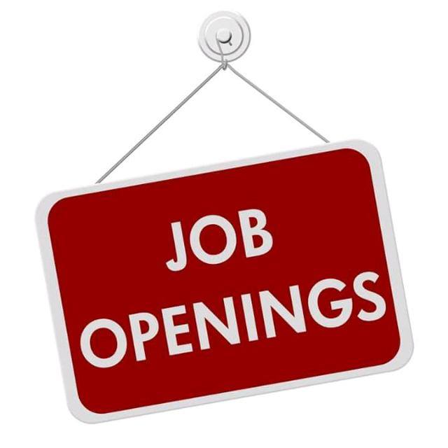 India no 1 online job ?