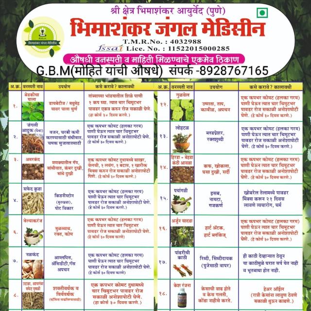 Bhimashankar Medicine71