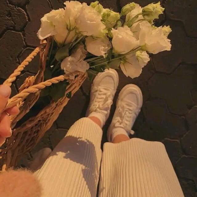 ?❤️ World of Status ?️❤‍?