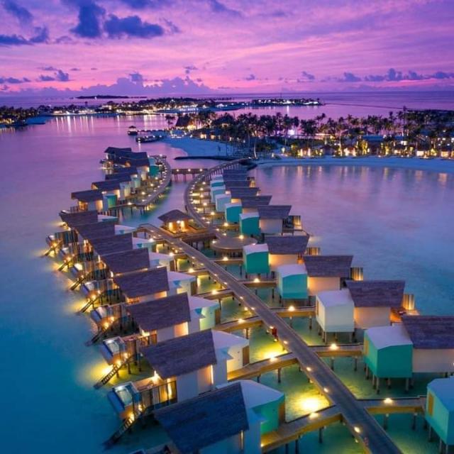 Maldives job මාලදිවයින