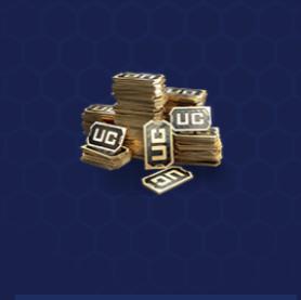 UC AND ID SALLER