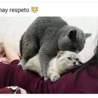 ?? ???????