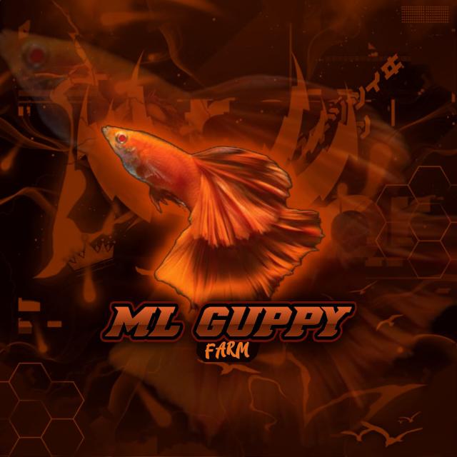 GUPPY LELAM [AUCTION] GROUP?