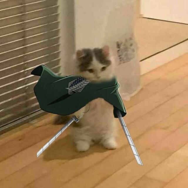 .