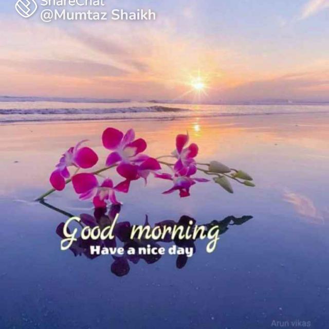Number vanuma coming inbox Whatsapp group