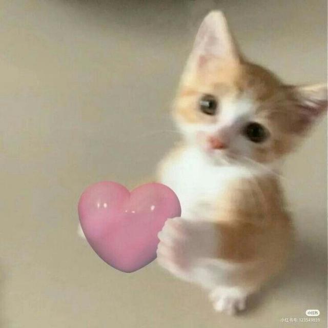 GC CARI PACAR PART 2