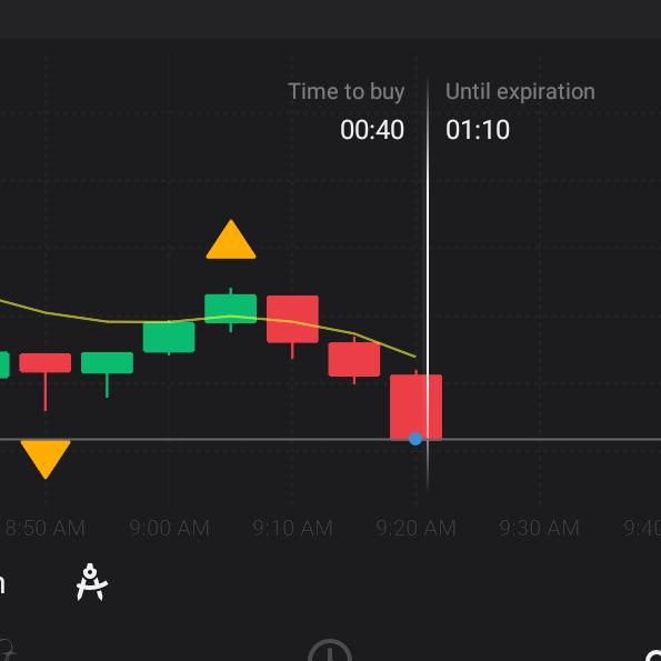 Share market 