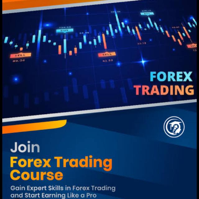 Crypto Insights