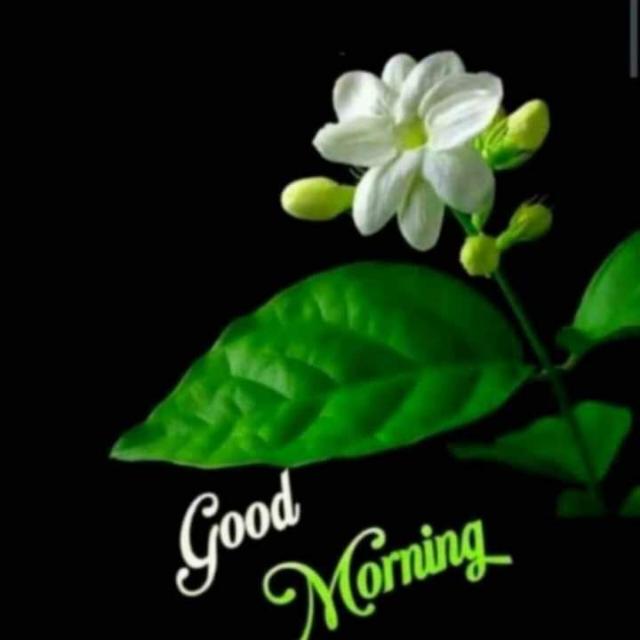 Actress amma
