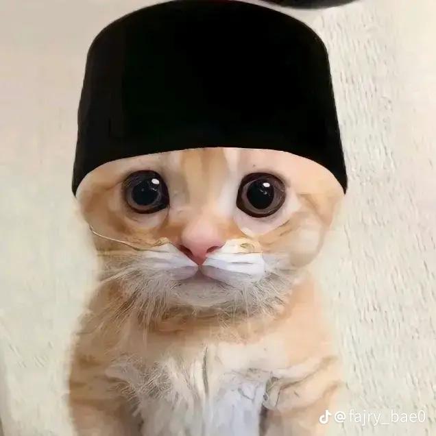 Ramadhan 2024 Whatsapp group