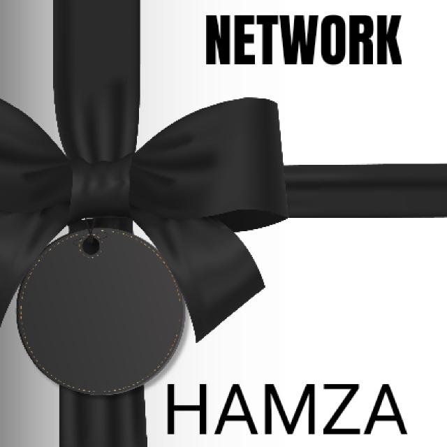 NETWORK HAMZA RASOOL 4 Whatsapp group