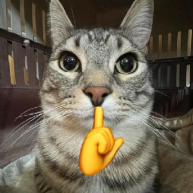 Aku lagi sebar Dana Kaget nih Whatsapp group