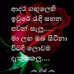 ꧁ආදර කැදැල්ල ?꧂