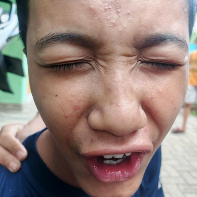 opal petarung