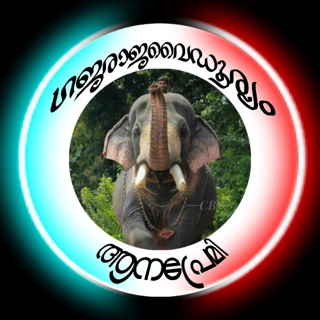 ?ഗജരാജാവൈഡുര്യം????? ??????
