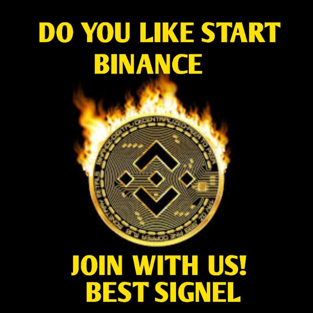 DV SIGNEL GROUP 