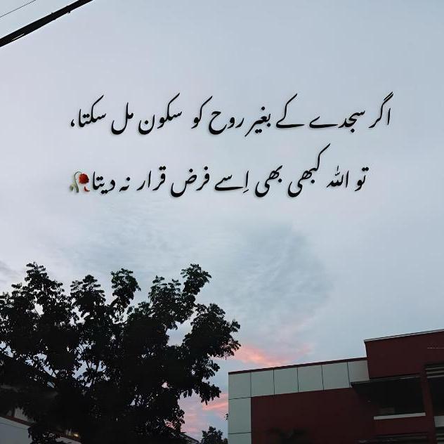 Ahkam E Shariat♥️?