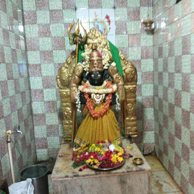   ? శ్రద్ధ సబూరి జ్యోతిష్యాలయం ?