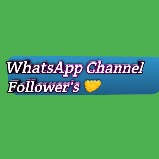 WhatsApp Channel Followers Whatsapp group