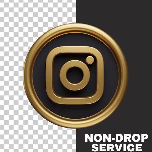 INSTAGRAM NON DROP SERVICE Whatsapp group