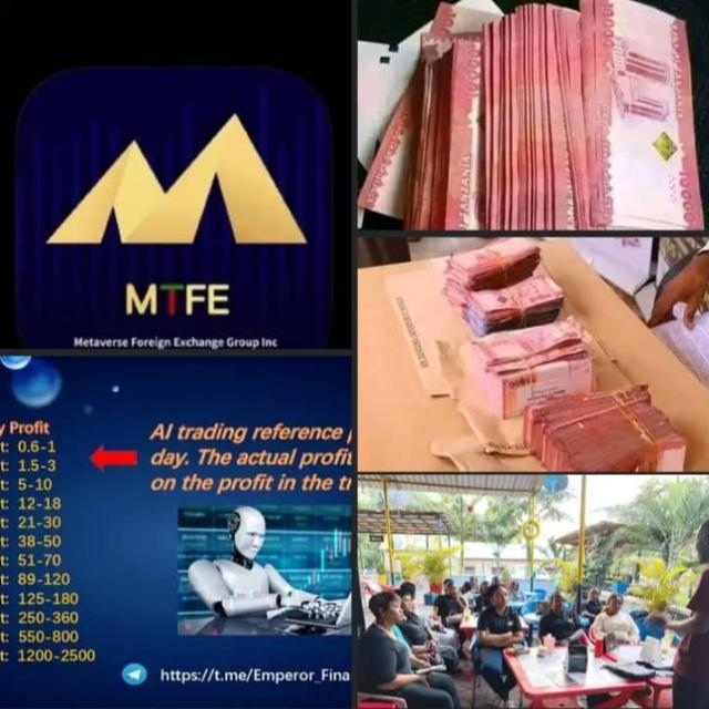 MTFE TANZANIA TRADING ??