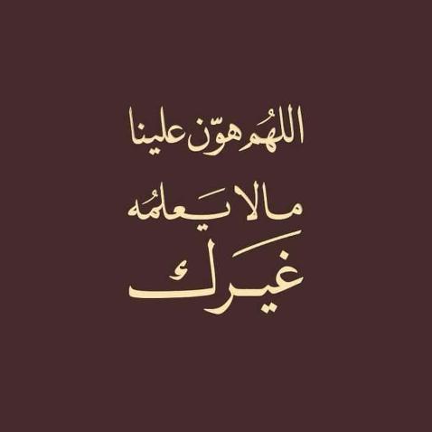 Training تداول ??