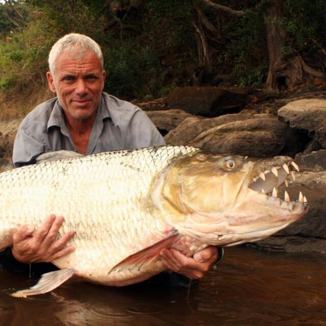 SLMONSTER fishKEEPERs Whatsapp group