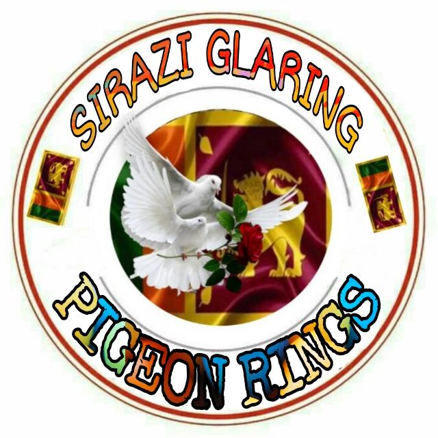 Sirazi Glaring Pigeons Whatsapp group